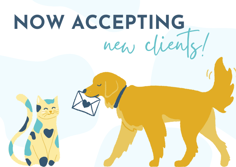 Home Downtown St Pete Vet Clinic St. Petersburg